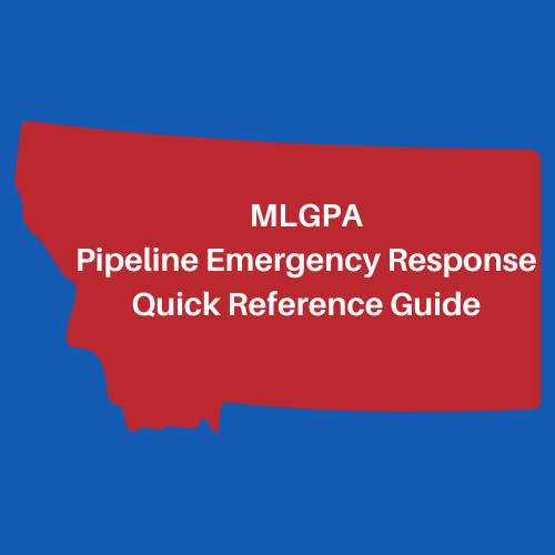 2024 MLGPA Quick Reference Guide ER